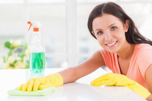 Kitchen and bathroom cleaning service in Bromley