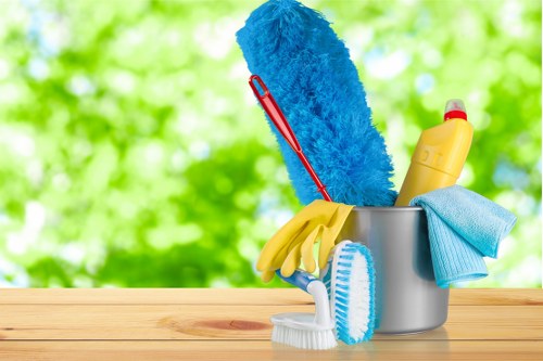 Local cleaning service for flats and houses in Bromley