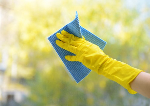 Local cleaners in Bromley providing domestic cleaning services