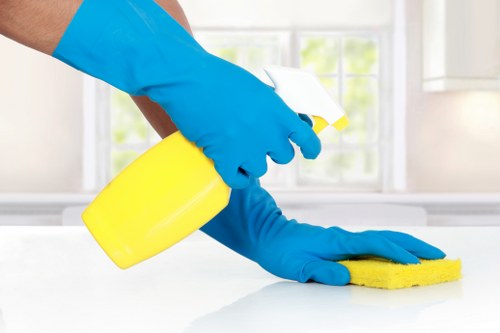 Professional cleaning team serving homes in Bromley
