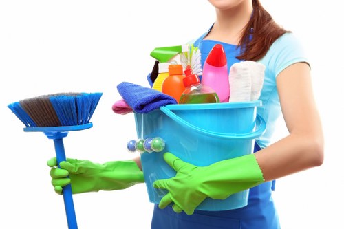 Thorough deep cleaning process in a Bromley property