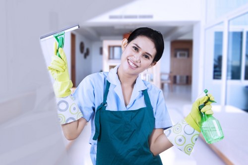 Deep upholstery cleaning for fabric and leather sofas